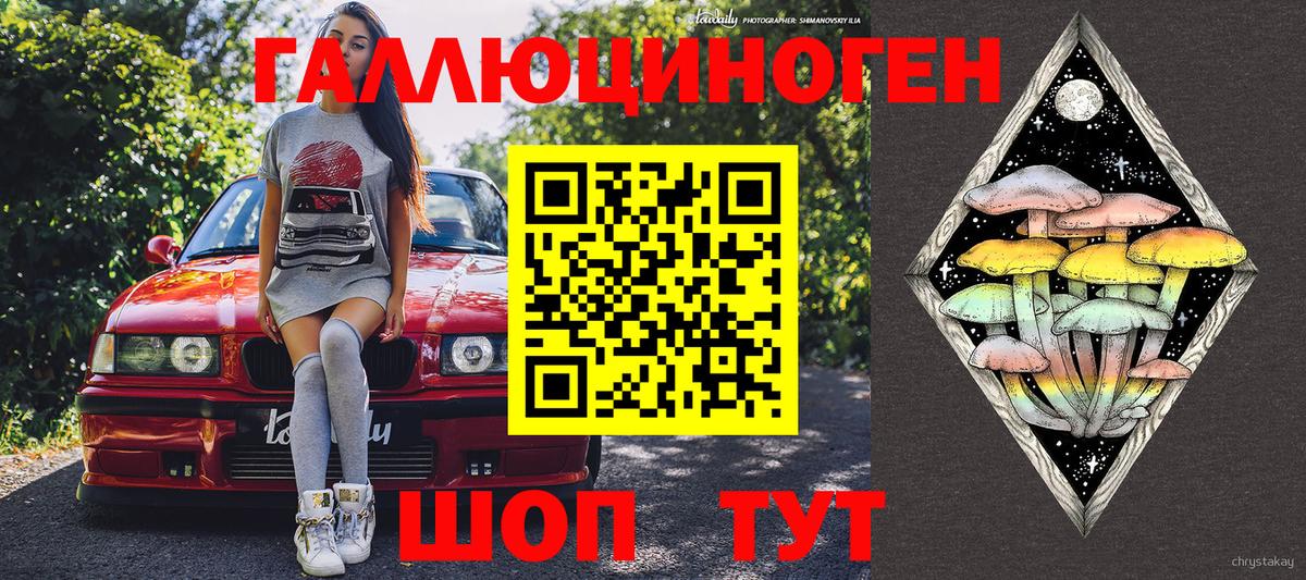 Галлюциногенные грибы Psilocybe Минусинск