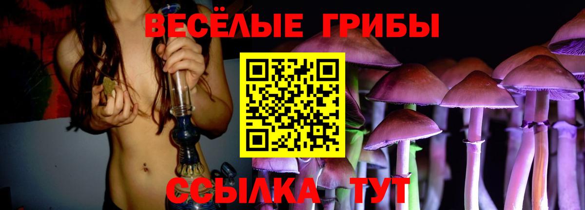 Псилоцибиновые грибы Psilocybe  Вход с VPN  Минусинск  Галлюциногенные грибы мицелий 